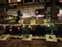 -上海外滩茂悦大酒店