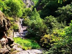 -云岫谷自然风景区