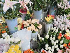 -桂林市花鸟市场