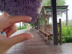 -焦岗湖旅游度假区