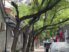 -丽江庭院·云南野生菌·海鲜火锅(鼓楼四合院店)