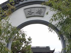 -上海海湾国家森林公园
