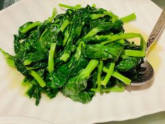 清炒豆苗-喜来登由由大酒店九州膳坊中餐厅