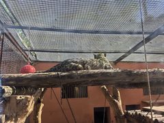 -青藏高原野生动物园