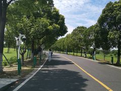 -漕湖湿地公园