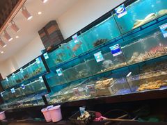 水产区-南海渔家•海鲜•正宗海南菜(海棠湾店)