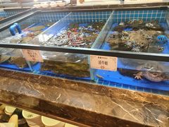-黑金·寻焰自助百汇·烤肉·火锅(中街店)