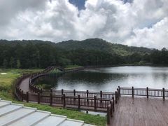 -海南热带雨林国家公园吊罗山景区