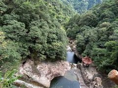 -花岩国家森林公园