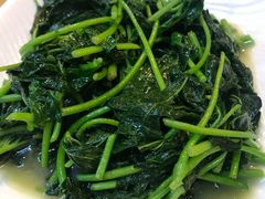 -台北楚楚园馅饼粥(虹桥南丰城店)