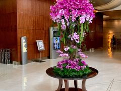 -上海静安香格里拉大酒店