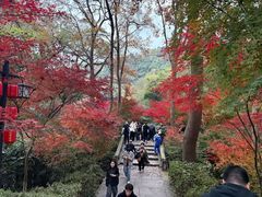 -灵顺寺