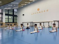 -西安小天鹅艺术团(曲江Alice店)