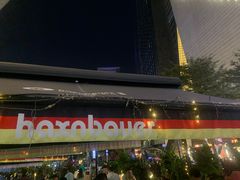 -haxnbauer海森堡德国餐厅(深圳coco店)
