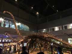 -自贡恐龙博物馆