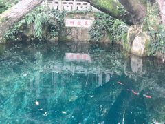 -蝴蝶泉公园