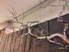 -庭院居(华盛达时代中心店)