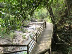 -东天目山风景区