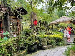 -青城甲(青城山店)