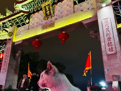-莆田湄洲妈祖祖庙