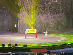 -灵玲国际马戏城