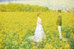 点击看大图 -茜茜公主婚纱摄影会馆