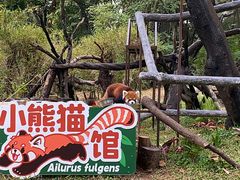 -广州动物园