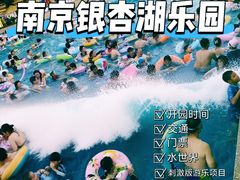 -南京银杏湖乐园