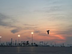 -东港音乐喷泉广场