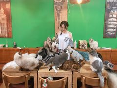 小食拼盘-李小姐の猫咖啡馆(五角场店)