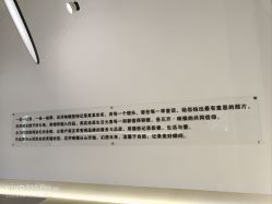 -花开映像儿童摄影