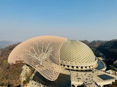 -牛首山文化旅游区