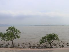 -深圳湾公园(南山区)