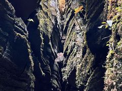 -梭布垭石林景区