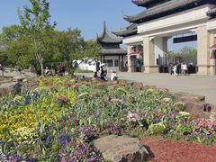 -苏州上方山国家森林公园