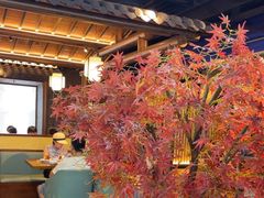 -三凤酒家·百年无锡菜(清扬茂业店)