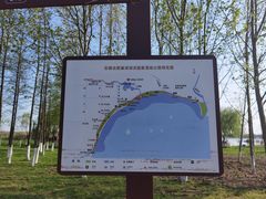 -合肥滨湖国家森林公园