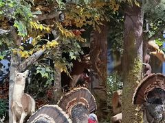 -陕西自然博物馆