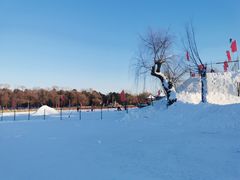 -长春市南湖公园