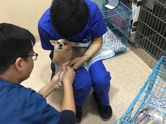 -芭比堂动物医院·24小时·眼科中心(深圳中心)