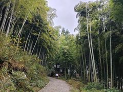 -莫干山风景区