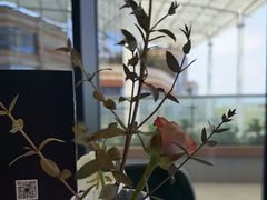 -L'Arome芳芳法国餐厅(仙林金鹰店)