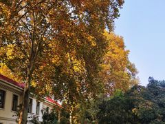 -河南省黄河迎宾馆