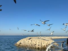 -东港音乐喷泉广场