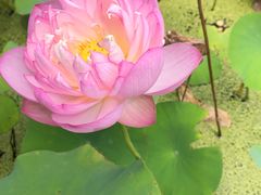 -鄞州雪菜博物馆