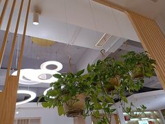 -芭夯兔·兔肉汤锅(新都店)