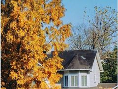 -J Create城市露营咖啡·简餐·宠物(上海动物园店)