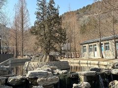 -白水寺森林公园