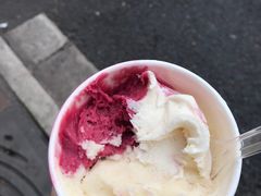 -DIP in GELATO(富民路店)