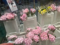 -盒马X会员店(上海森兰商都店)